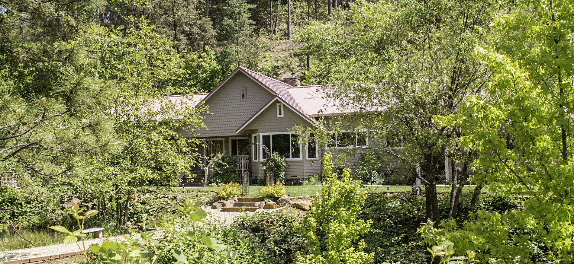 Exterior view of tan cottage with gable roof completely surrounded by a variety of lush green plants and trees